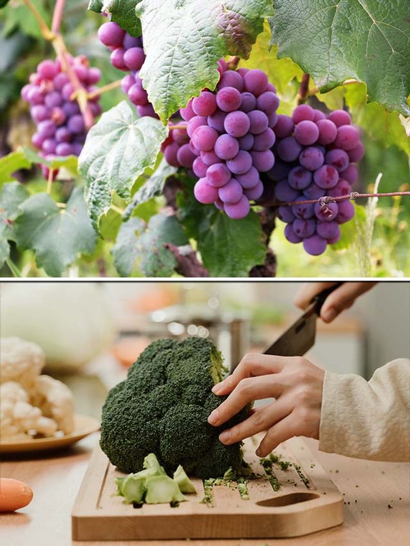 Grapes to Broccoli 5 foods that aids in Liver health