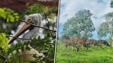 Mudumalai to Guindy: 5 National Parks of Tamil Nadu ATG EAI Mudumalai to Guindy: 5 National Parks of Tamil Nadu ATG EAI