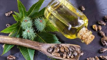 Hair Care: 5 incredible advantages of Castor Oil vma eai Hair Care: 5 incredible advantages of Castor Oil vma eai