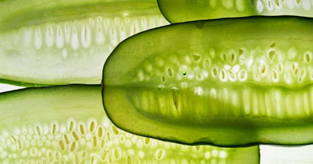 Hydration to Skin lightening 7 skin benefits of Cucumber