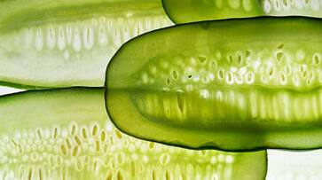 Hydration to Skin lightening: 7 skin benefits of Cucumber ATG EAI Hydration to Skin lightening: 7 skin benefits of Cucumber ATG EAI