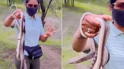 shital kasar handles multiple snakes barehanded netizens bewildered xadm