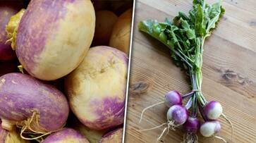 Enhancing bones to weight management: 5 health benefits of Turnip ATG EAI Enhancing bones to weight management: 5 health benefits of Turnip ATG EAI