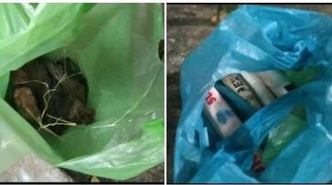 2 persons killed who illegally manufacturing a country bomb at dindigul district vel 2 persons killed who illegally manufacturing a country bomb at dindigul district vel