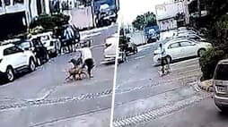 Ghaziabad Delivery boy rescues minor girl from stray dogs in residential society (WATCH)