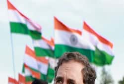 rahul gandhi back to parliament loksabha congress celebrate kxa 