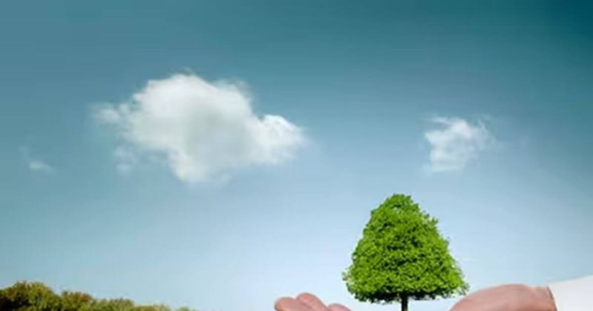 சுற்றுச்சூழல் பாதுகாப்பில் உலகளவிய சக்தியாக இந்தியா உருவெடுத்தது எப்படி?