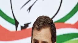 sherlyn chopra marry congress leader rahul gandhi video viral kxa 