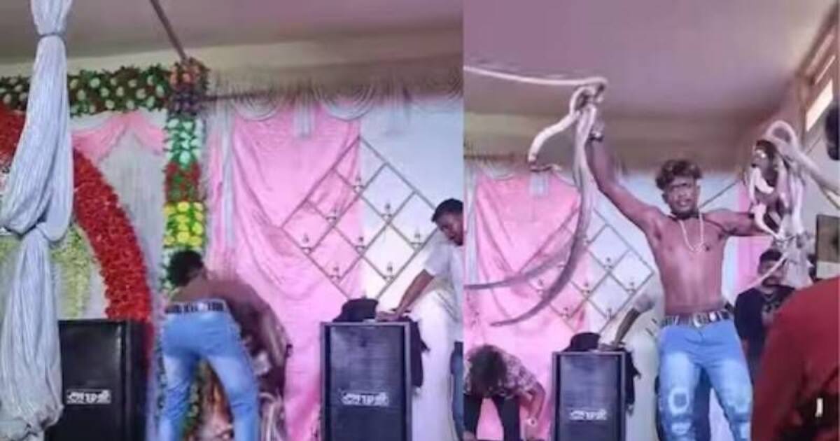  “ ஹலோ, வனத்துறையா.. இவரு பாம்புகளை வைத்து என்ன பன்றாரு பாருங்க..” வைரல் வீடியோ 