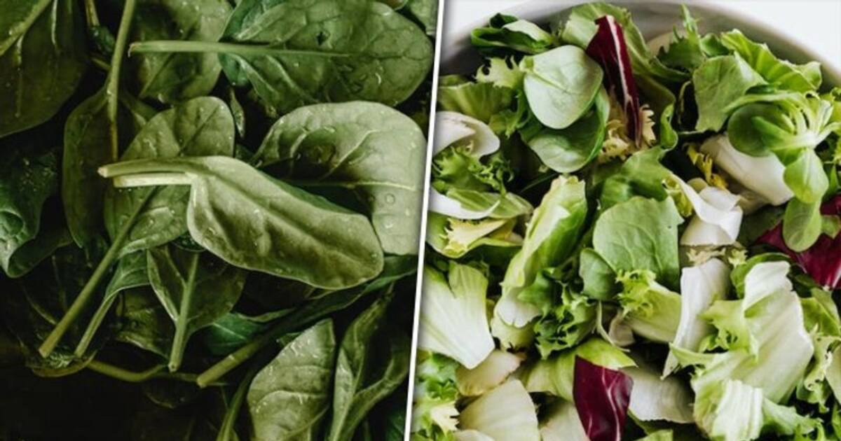 Acne defense to premature aging 7 skin benefits of Spinach