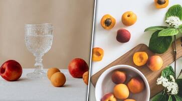 Hydration to collagen production: 7 skin benefits of Apricots ATG EAI Hydration to collagen production: 7 skin benefits of Apricots ATG EAI