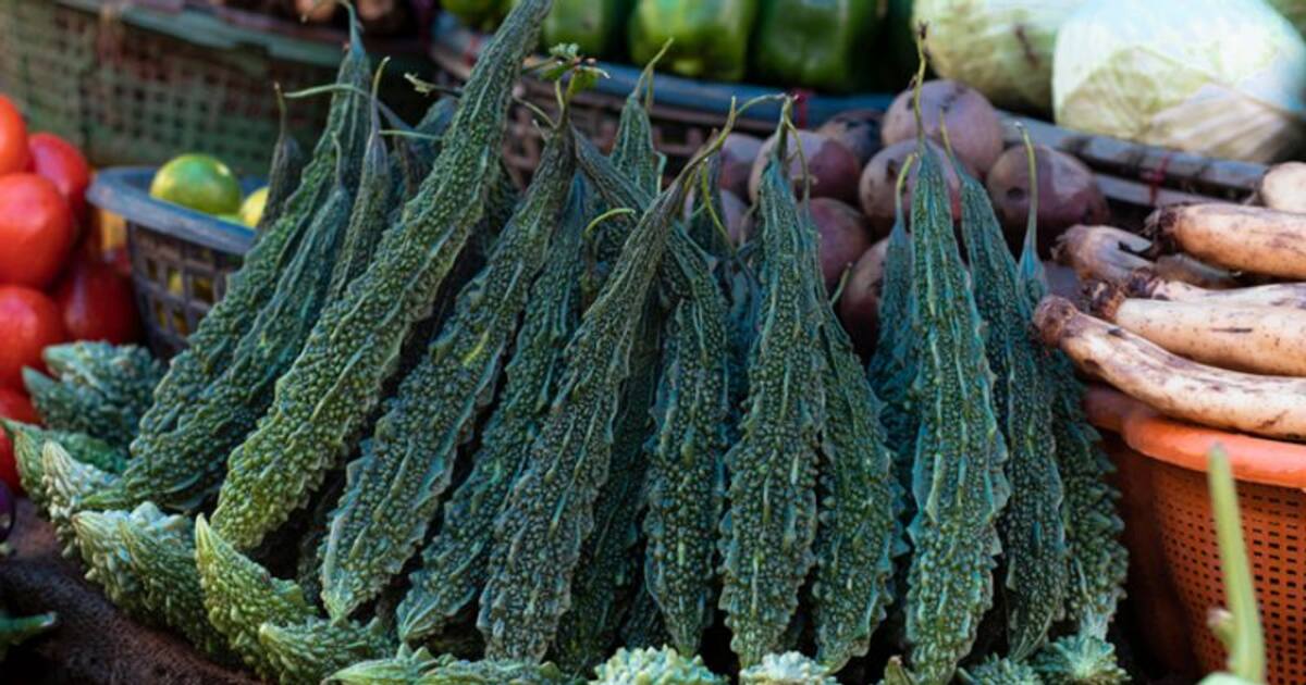 Magical effects of bitter gourds Explore health benefits of veggie
