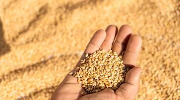 Is wheat not available in ration shops? Tamil Nadu government takes immediate action sgb Is wheat not available in ration shops? Tamil Nadu government takes immediate action sgb