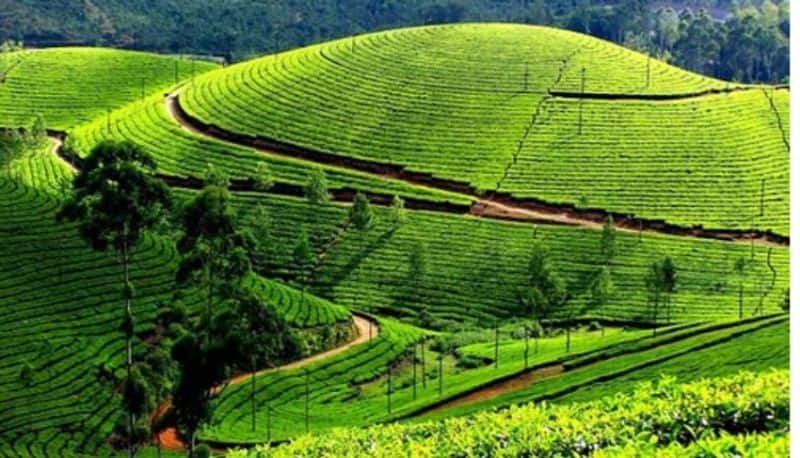 Should you visit Kerala in April?