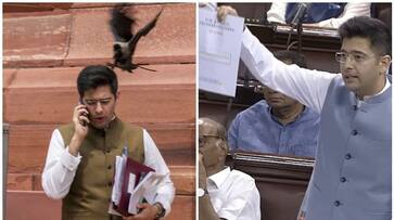 Rajya Sabha Chairman Jagdeep Dhankhar suspended AAP MP Raghav Chadha san Rajya Sabha Chairman Jagdeep Dhankhar suspended AAP MP Raghav Chadha san