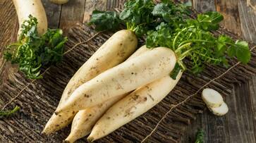 5 surprising benefits of Radish on your Skin vma eai 5 surprising benefits of Radish on your Skin vma eai
