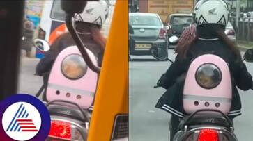 Bengaluru Woman Shows Best Option Of Pet Care During Work Hours Vin Bengaluru Woman Shows Best Option Of Pet Care During Work Hours Vin