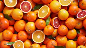 Foods that help boost immunity.. can prevent the risk of dengue.. Rya Foods that help boost immunity.. can prevent the risk of dengue.. Rya