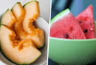 Hydration to Skin rejuvenation: 7 health benefits of eating melons THIS Summer ATG