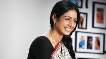 Actress Sridevi stops acting after her marriage with Boney Kapoor in 1996 srb Actress Sridevi stops acting after her marriage with Boney Kapoor in 1996 srb