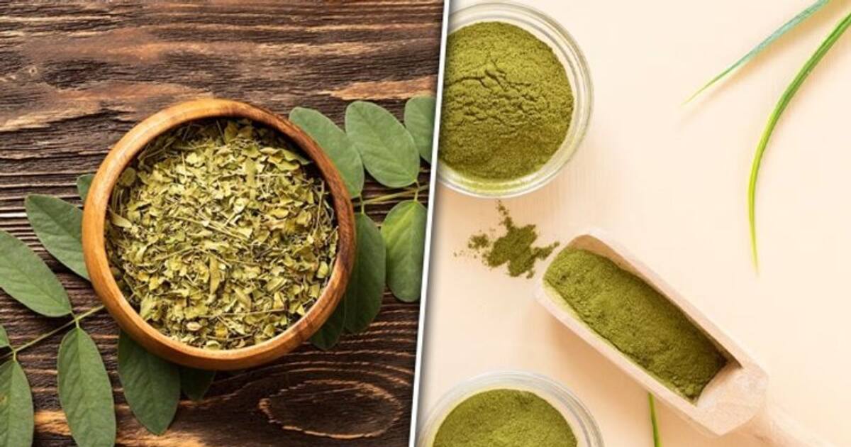 Weight loss to skin health Know 6 amazing benefits of moringa powder