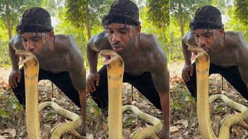 Mike Holston kisses on snakes head video goes viral on social media people asked why akb Mike Holston kisses on snakes head video goes viral on social media people asked why akb
