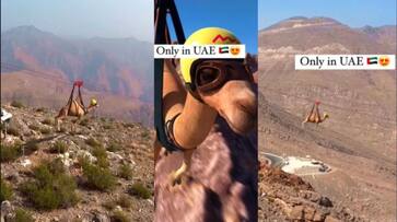 Camel enjoying zipline Jais Flight the world longest zipline located in UAE video goes viral akb Camel enjoying zipline Jais Flight the world longest zipline located in UAE video goes viral akb
