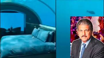 the Muraka This is the worlds first underwater hotel Do you know how much a day will cost here akb the Muraka This is the worlds first underwater hotel Do you know how much a day will cost here akb