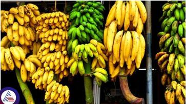 After tomatoes and onions, banana is also in huge demand snr After tomatoes and onions, banana is also in huge demand snr