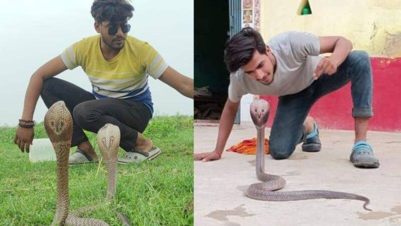 snake man of bihar hariom Narayan  bitten 200 times by snakes yet rescued 4000 snakes ZKAMN