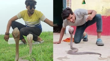 At 19 Hariom prefers to rescue snakes and animals than attending parties iwh