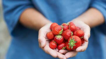amazing benefits of strawberries-rse- amazing benefits of strawberries-rse-