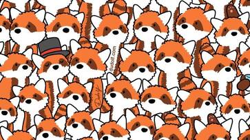 How Sharp Are Your Eyes, Spot 3 Hidden Foxes Among The Red Pandas In 9 Seconds Vin How Sharp Are Your Eyes, Spot 3 Hidden Foxes Among The Red Pandas In 9 Seconds Vin