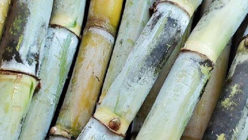 inspirational success story of moradabad farmer who is earning from products made of sugarcane zrua