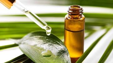 Hair Routine: 5 ways why Tea Tree Oil is beneficial vma eai Hair Routine: 5 ways why Tea Tree Oil is beneficial vma eai