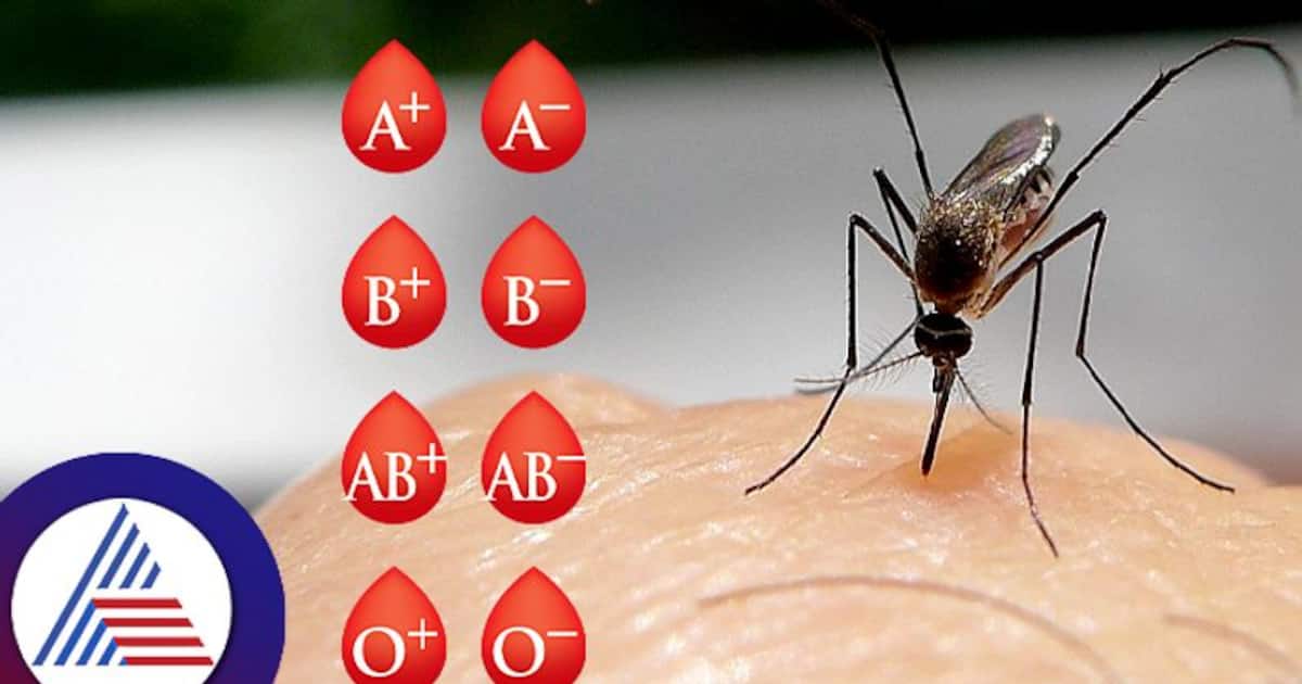 Mosquitoes Prefer a Certain Blood Type