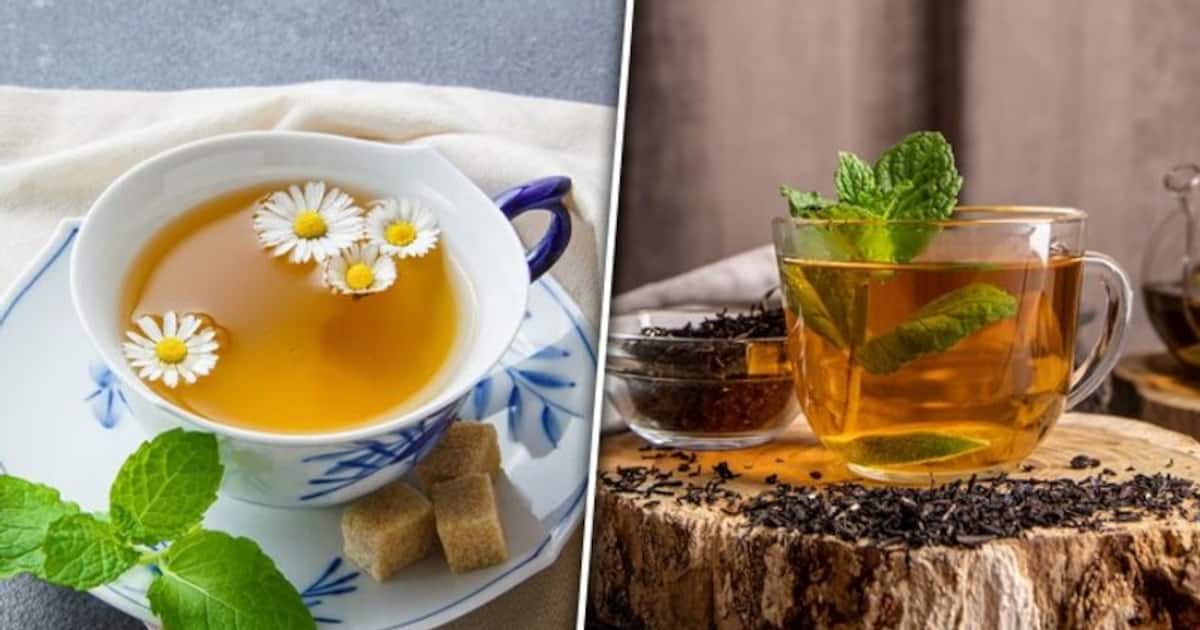 Green Tea Vs Herbal Tea What's the difference? Know their health benefits