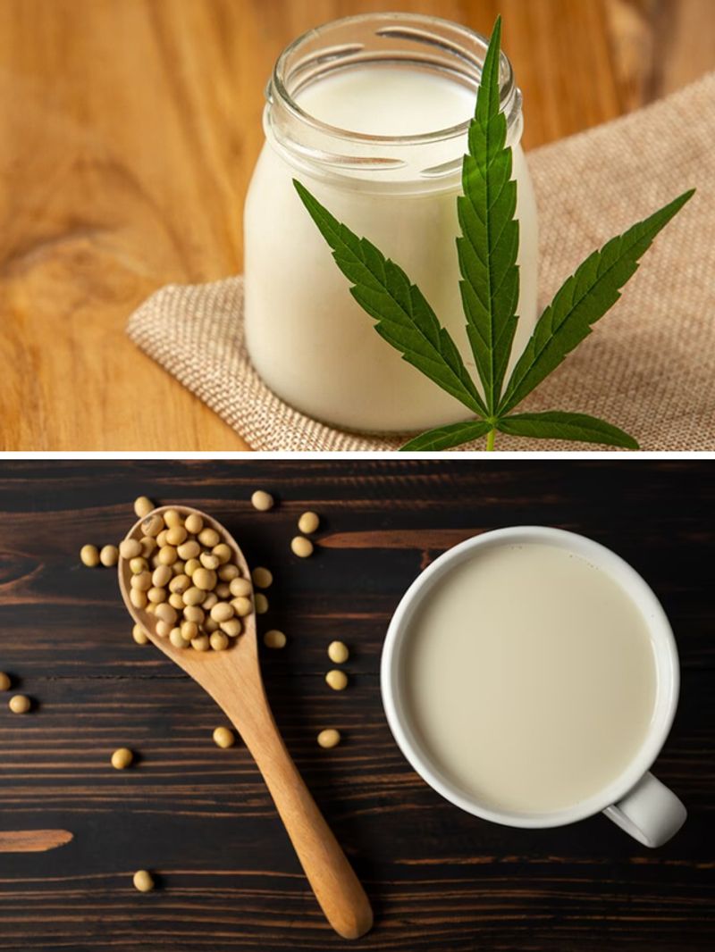 Soy to Almond 10 types of lactosefree milks for your dietary delight