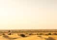 reports claim thar desert of rajsthan will convert into green land in end of century kxa 