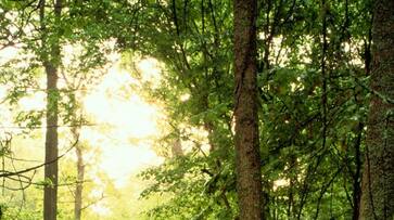 Be free to maintain ecological balance snr Be free to maintain ecological balance snr