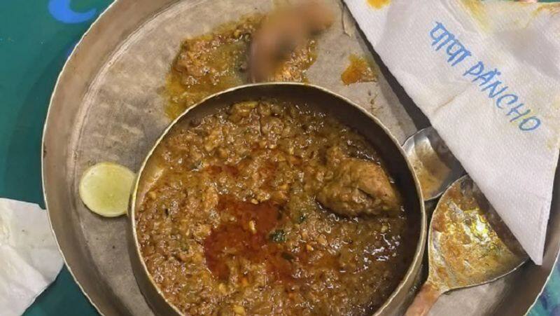 mumbai crime news Rat Found In Dish of  Mumbai Restaurant fda issued Notice To Shut Down zrua