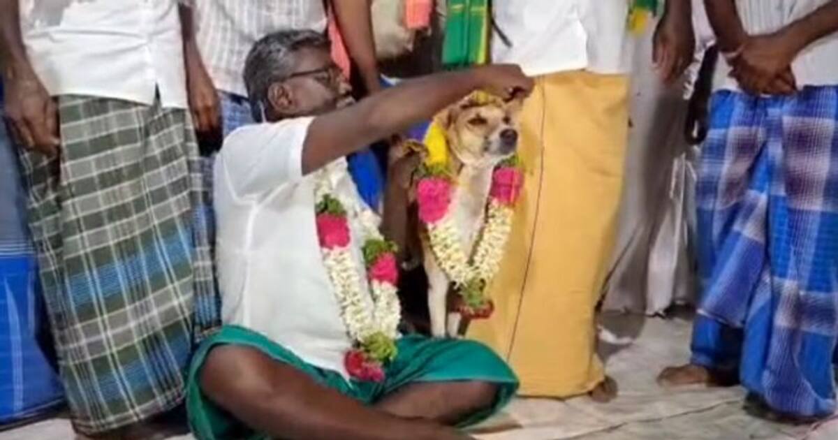 Watch : இழப்பீடு வழங்காத பொதுப்பணித்துறை! நாய்க்கு தாலி கட்டி நூதன போராட்டம் நடத்தும் விவசாயிகள்!