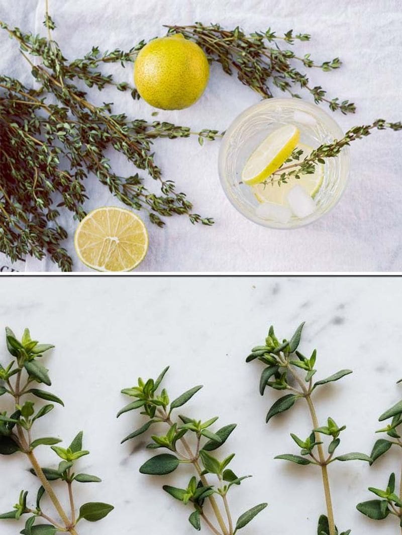 Uric acid to air pollution 7 reasons thyme should be in your kitchen