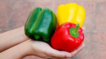 dont miss out the health benefits of capsicum-rse- dont miss out the health benefits of capsicum-rse-