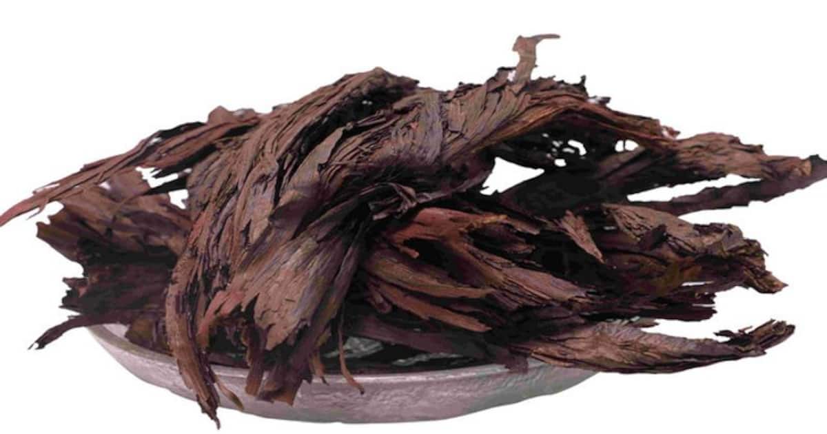 ஒரே மாசத்துல முடி நீளமா வளர வேம்பாளம்பட்டை எண்ணெய் யூஸ் பண்ணுங்க...அப்புறம் நரைக்கு குட் பை சொல்லுங்க...