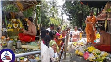 Karavali coastal area Moola Naga Pooja is best for Nagara Panchami festival sat Karavali coastal area Moola Naga Pooja is best for Nagara Panchami festival sat