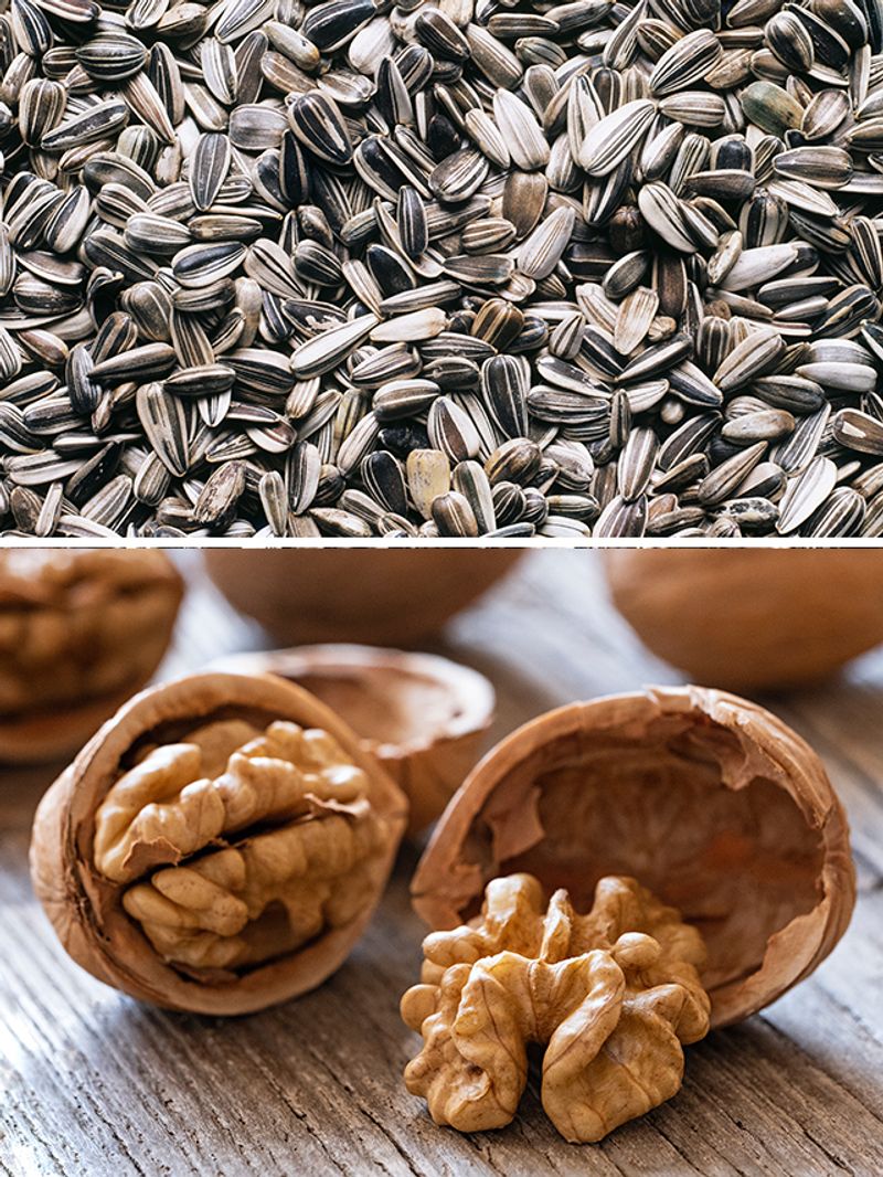 Sunflower seeds to Walnuts 7 foods that boost fertility