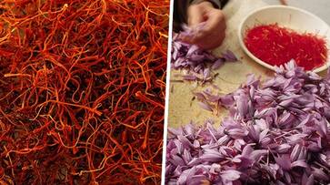 The Golden Elixir: 7 Remarkable skin benefits of Saffron ATG EAI The Golden Elixir: 7 Remarkable skin benefits of Saffron ATG EAI
