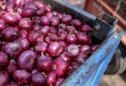 govt imposes 40 duty on onion exports due to Onion price hike zrua