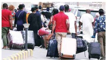 gulf news more than 18000 expats deported in 6 months for traffic violations rvn gulf news more than 18000 expats deported in 6 months for traffic violations rvn